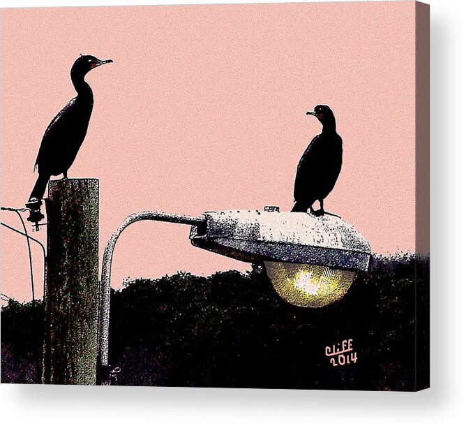 Birds Acrylic Print featuring the painting Birds on Light by Cliff Wilson