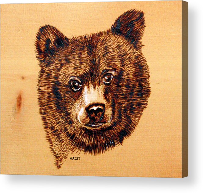 Bear Acrylic Print featuring the pyrography Black Bear Cub by Ron Haist