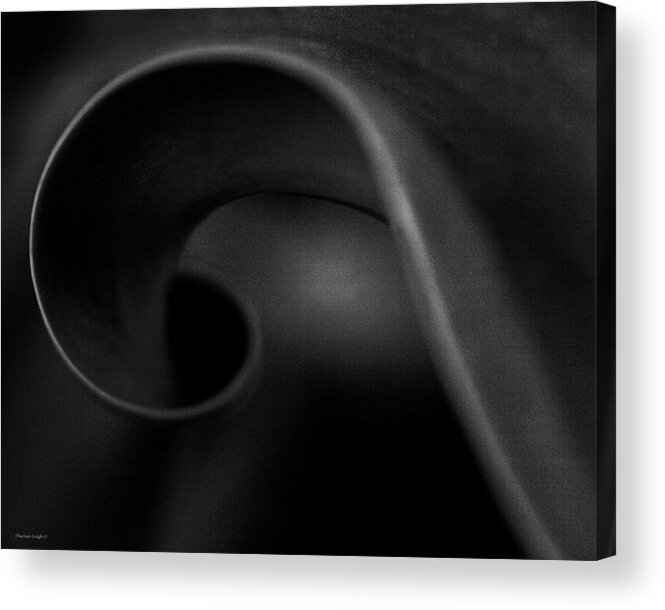 Abstract Acrylic Print featuring the photograph Black Charcoal by Theresa Tahara