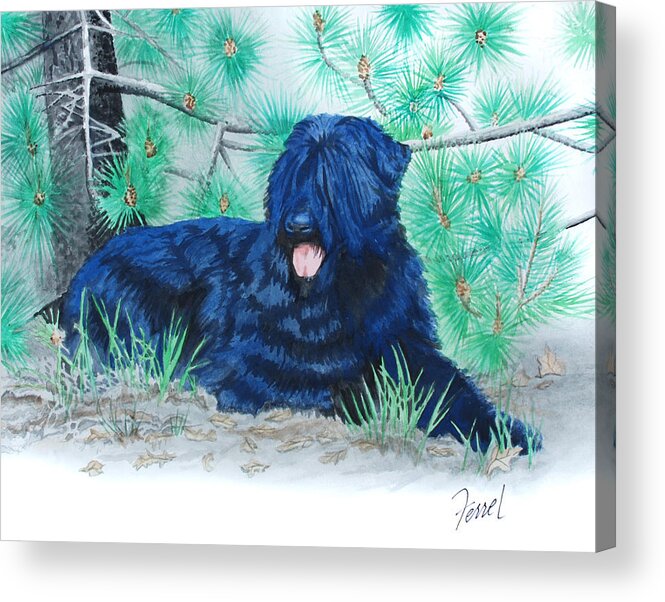 Dog Acrylic Print featuring the painting Black Russian Terrier by Ferrel Cordle