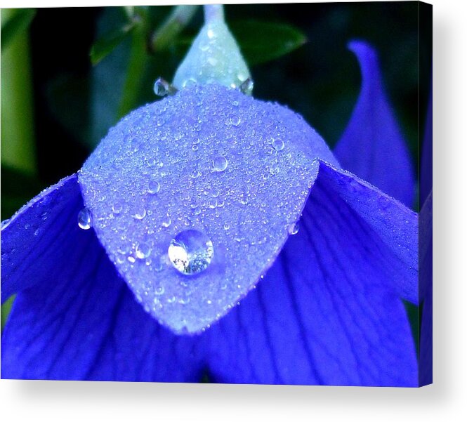 Outdoors Acrylic Print featuring the photograph Blue Balance by Charles Ford