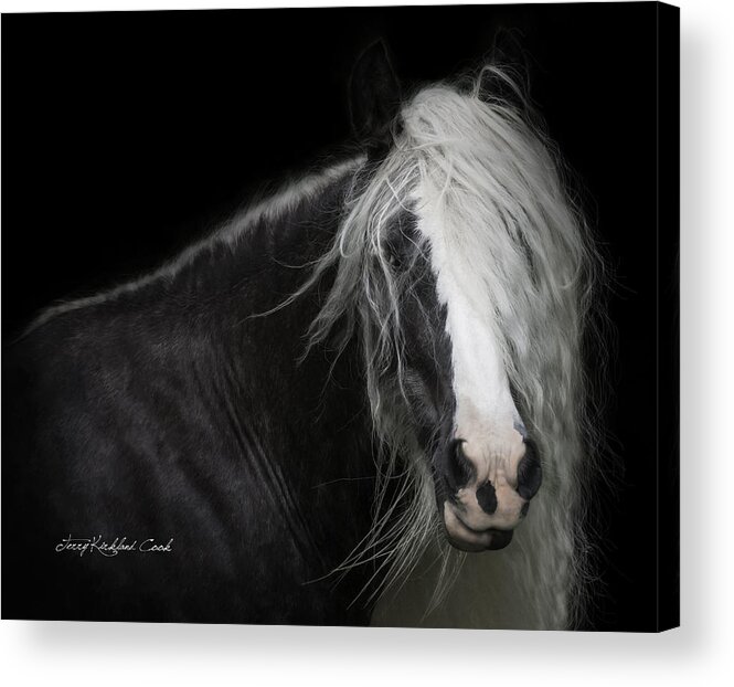 Equine Acrylic Print featuring the photograph Bombshell by Terry Kirkland Cook