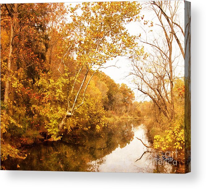 Stream Acrylic Print featuring the photograph Bordentown Gold by Louise Reeves