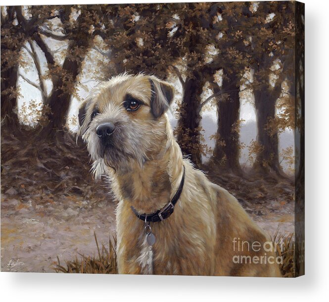 Dog Paintings Acrylic Print featuring the painting Border Terrier in the woods by John Silver