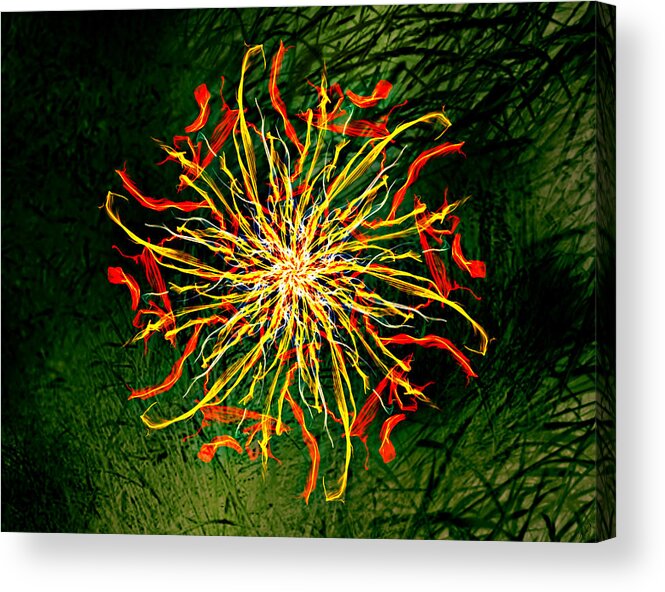 Flower Acrylic Print featuring the painting Burst by Ally White