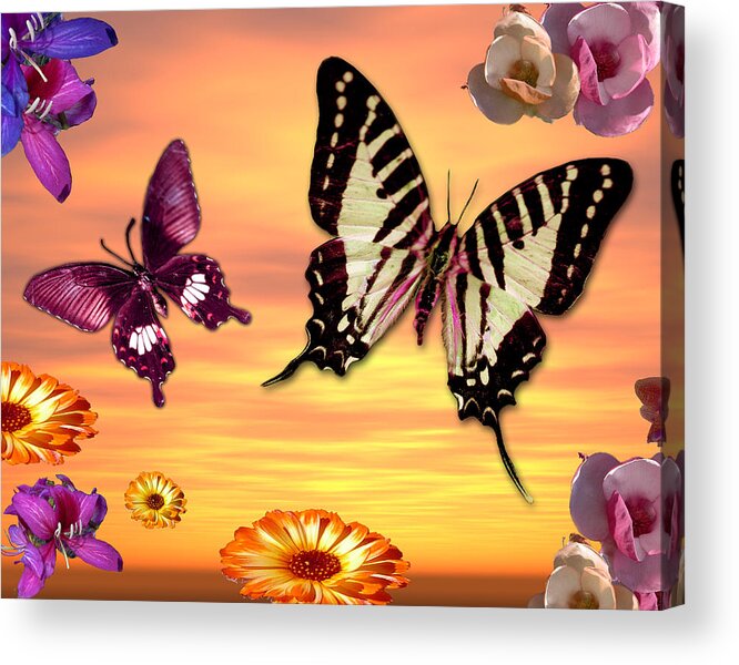 Alixandra Mullins Acrylic Print featuring the photograph Butterfly Sunset by MGL Meiklejohn Graphics Licensing
