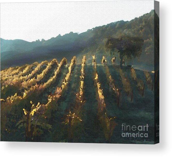 Corde Valle San Martin Ca Acrylic Print featuring the painting California Vineyard Series Wine Country by Artist and Photographer Laura Wrede
