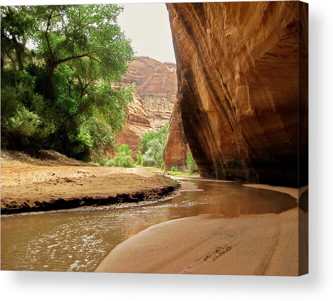 Canyon De Chelly Acrylic Print featuring the photograph CANYON de CHELLY by Carl Sheffer