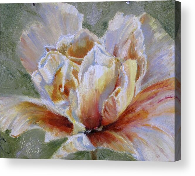 Floral Acrylic Print featuring the painting Capetown Beauty by Vicki Ross