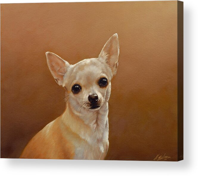 Chihuahua Acrylic Print featuring the painting Chihuahua I by John Silver