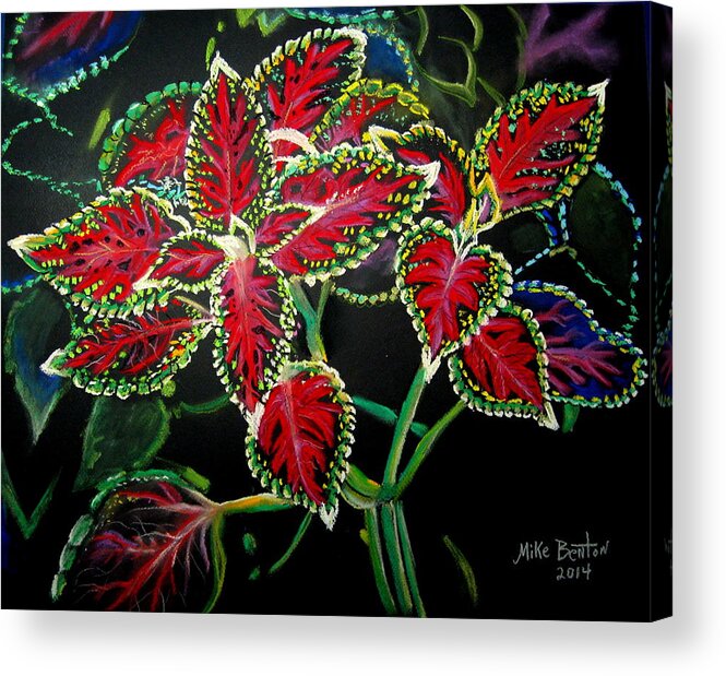 Flower Art Acrylic Print featuring the pastel Coleus by Mike Benton
