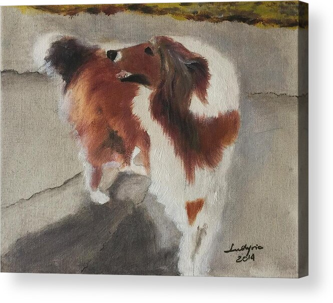 Art Acrylic Print featuring the painting Collie by Ryszard Ludynia