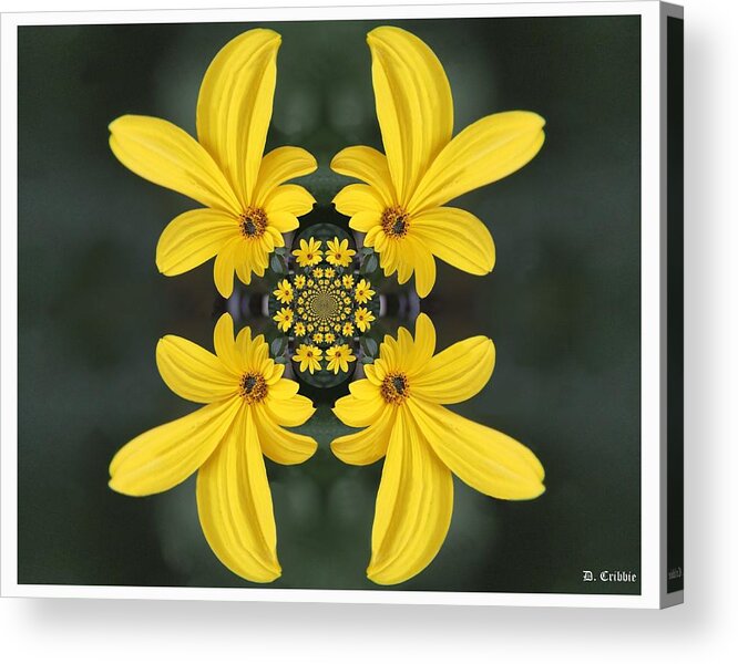 Flower Acrylic Print featuring the photograph Color of Springtime by Davandra Cribbie