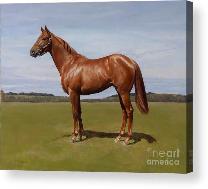 Colt Acrylic Print featuring the painting Colt by Emma Kennaway