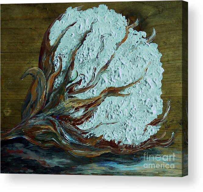 One Cotton Boll Acrylic Print featuring the painting Cotton Boll on Wood by Eloise Schneider Mote
