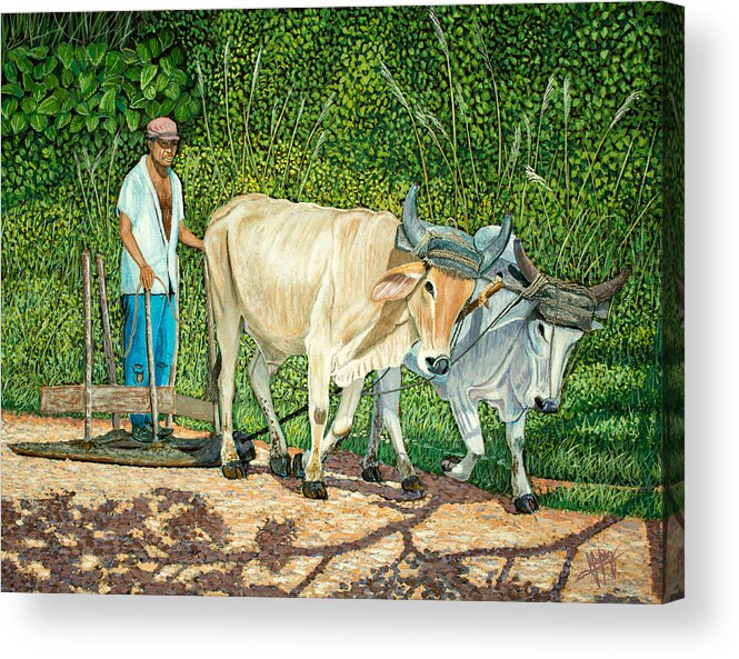 Cuban Acrylic Print featuring the painting Cuban Countryman by Manuel Lopez