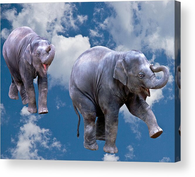 Animal Acrylic Print featuring the photograph Dancing Elephants by Jean Noren