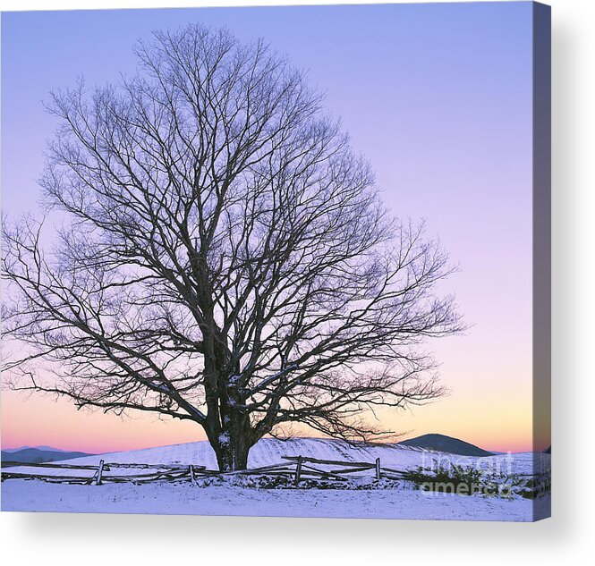 Winter Acrylic Print featuring the photograph December Twilight by Alan L Graham