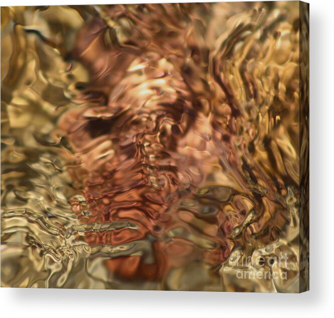 Surreal Acrylic Print featuring the photograph Distractions by Fred Sheridan