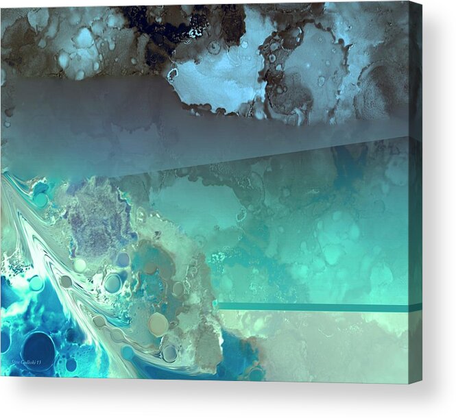 Abstract Fish In Water Acrylic Print featuring the photograph Diving Deep by Steve Godleski