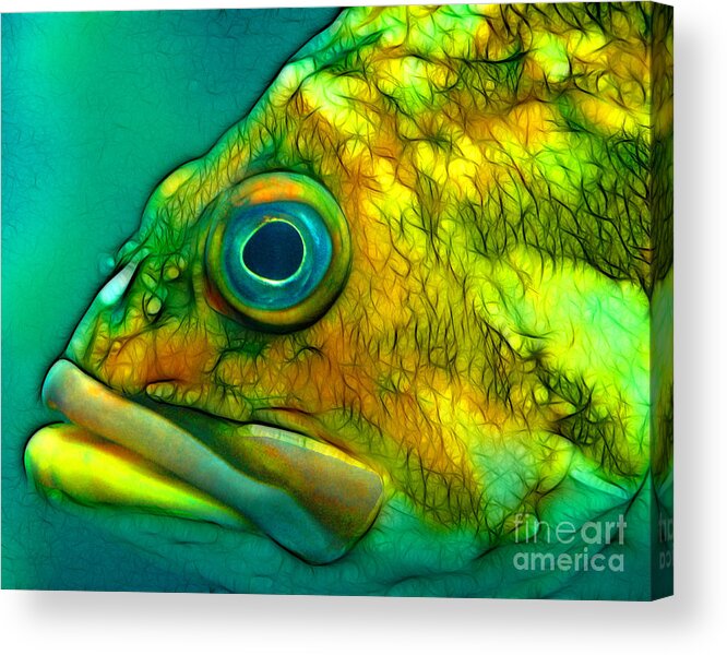 Fish Acrylic Print featuring the mixed media Do You Truly See Me by Francine Dufour Jones