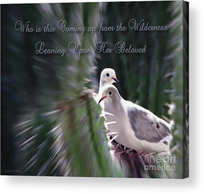 Birds Acrylic Print featuring the photograph Love Doves by Constance Woods