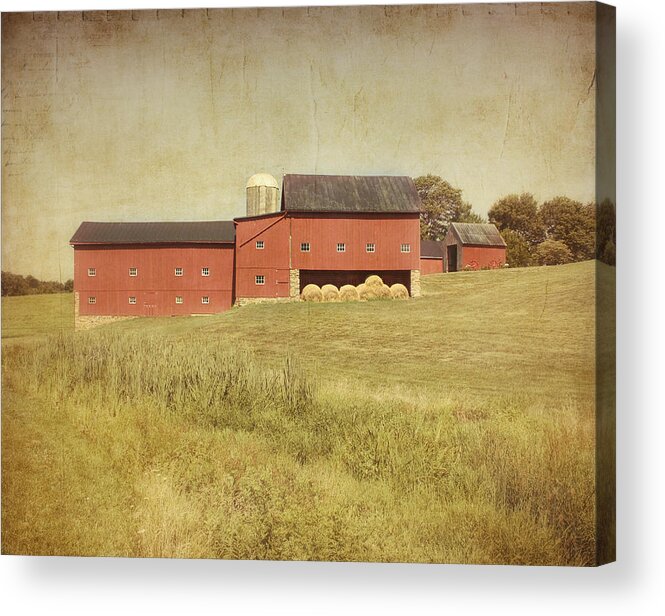 Farm Acrylic Print featuring the photograph Down on the Farm by Kim Hojnacki