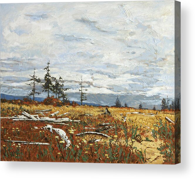 Original Oil Painting By Rob Owen. Landscape Painting Acrylic Print featuring the painting Driftwood Meadow by Rob Owen