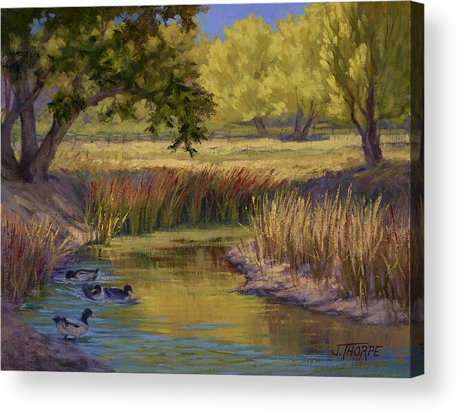 Trees Acrylic Print featuring the painting Duck Pond by Jane Thorpe
