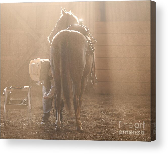 Horse Acrylic Print featuring the photograph Dusty Morning Pedicure by Carol Lynn Coronios
