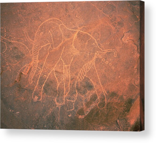 Carving Acrylic Print featuring the photograph Elephant Petroglyph by David Parker/science Photo Library