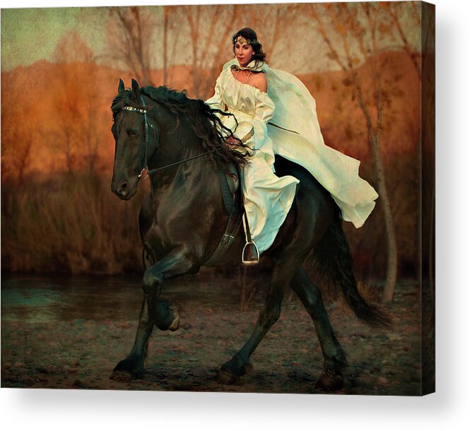 Friesian Acrylic Print featuring the photograph Escape by Jean Hildebrant