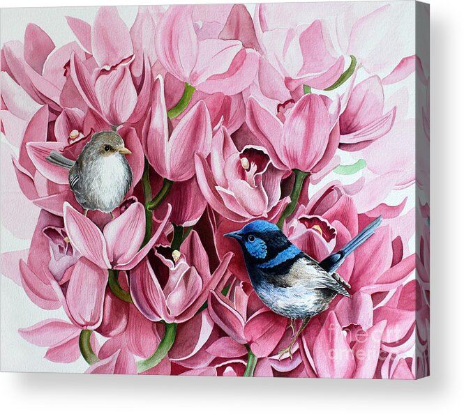 Watercolor Acrylic Print featuring the painting Fairy Wrens and Orchids by Debbie Hart
