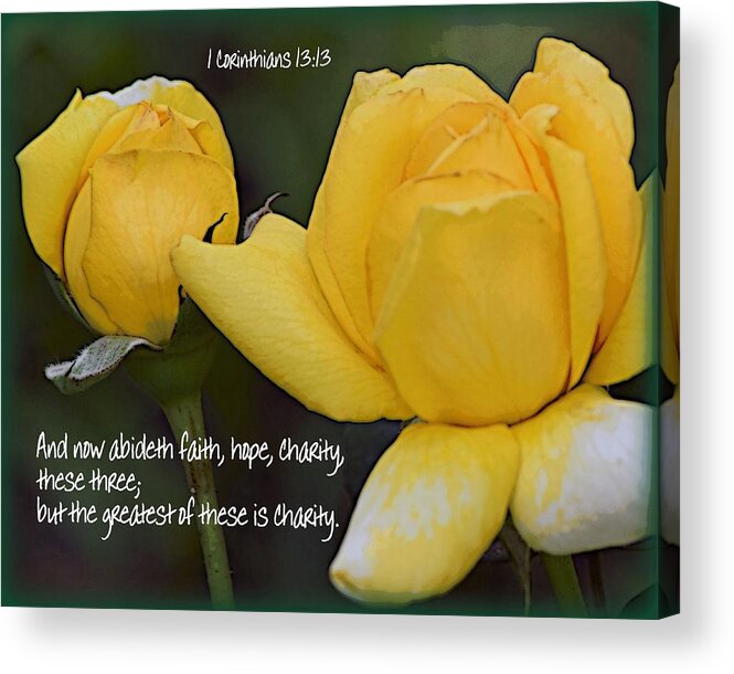 Rose Acrylic Print featuring the photograph Faith Hope Charity 1 by Sheri McLeroy