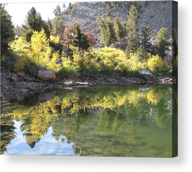 Reflection Acrylic Print featuring the photograph Fall Reflections by Darcy Tate