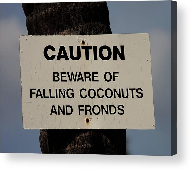 Sign Acrylic Print featuring the photograph Falling Coconuts by Pamela Walton