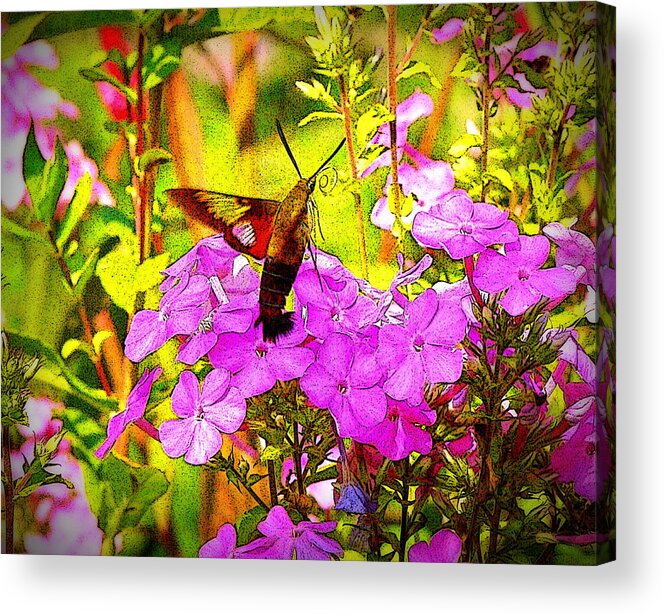 Fine Art Acrylic Print featuring the photograph Fantasy Garden by Rodney Lee Williams