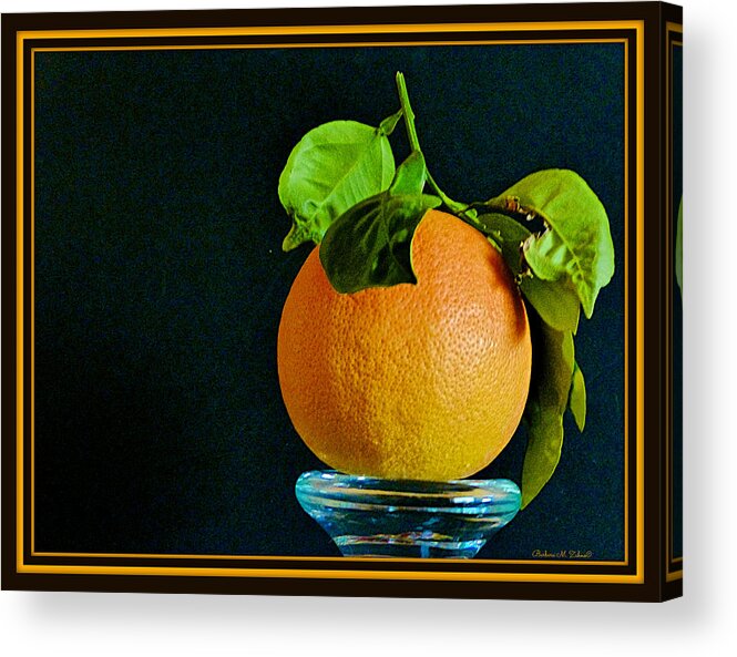 Fruit Acrylic Print featuring the photograph First Harvest 2015 by Barbara Zahno