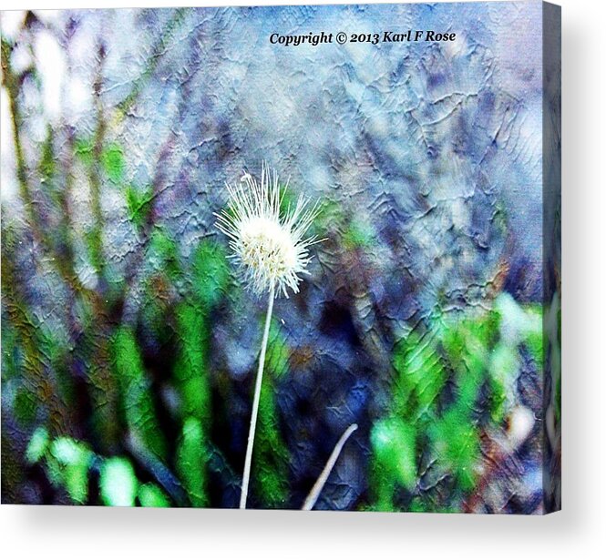 Flowers Acrylic Print featuring the photograph Flower as a painting by Karl Rose