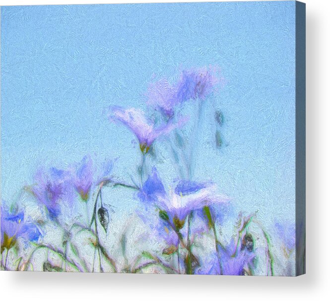 Flowers Acrylic Print featuring the digital art Flowers in Blue by Cathy Anderson