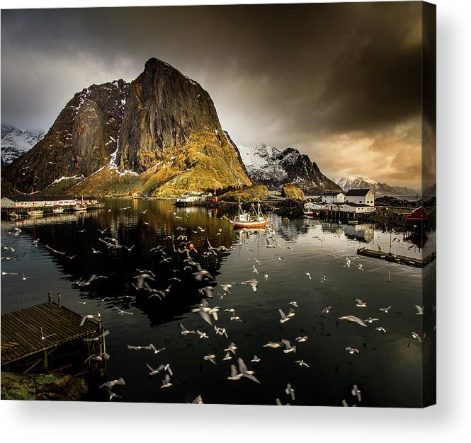 Norway Acrylic Print featuring the photograph Flying Away by Lior Yaakobi