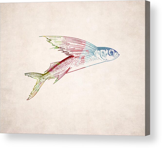https://render.fineartamerica.com/images/rendered/default/acrylic-print/8/6.5/hangingwire/break/images-medium-5/flying-fish-illustration-world-art-prints-and-designs.jpg