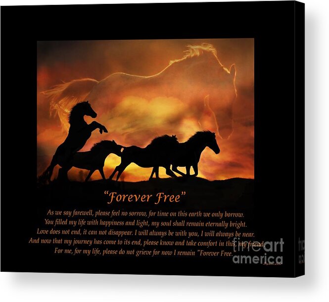 Horse Acrylic Print featuring the photograph Forever Free by Stephanie Laird