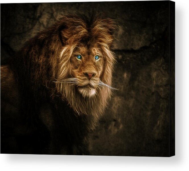 Fractallion Acrylic Print featuring the photograph FractalLion by Wes and Dotty Weber