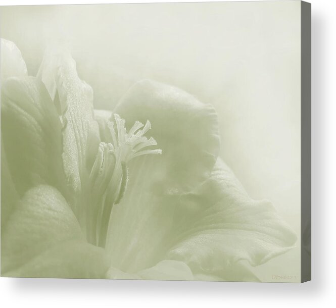 Flower Acrylic Print featuring the photograph Freesia Memory by Deborah Smith