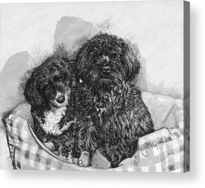 Two Dogs Acrylic Print featuring the pastel Friends by Janet Garcia