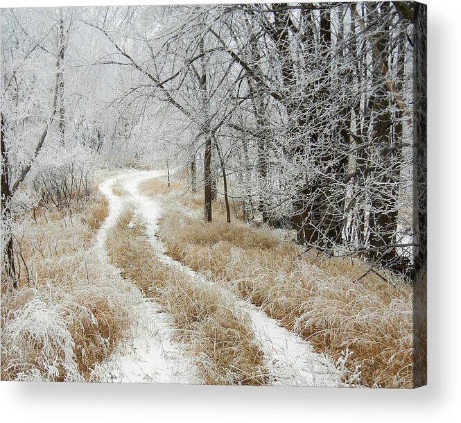 Trail Acrylic Print featuring the photograph Frosty Trail 2 by Penny Meyers