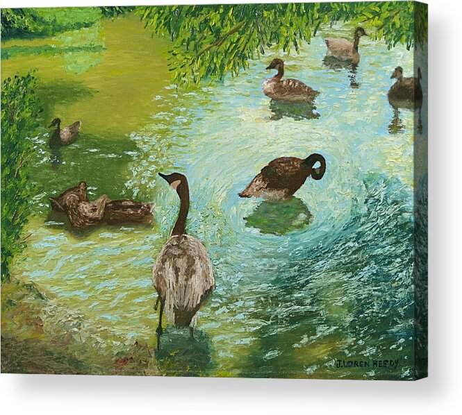 Geese Acrylic Print featuring the painting Geese in Water by J Loren Reedy