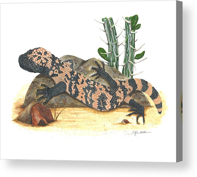 Gila Monster Acrylic Print featuring the painting Gila monster by Cindy Hitchcock