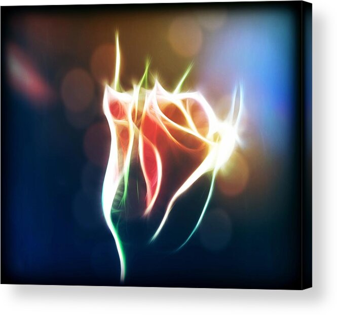 Rose Acrylic Print featuring the digital art Glowing Rose by Lilia D
